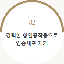 봉독의 효능